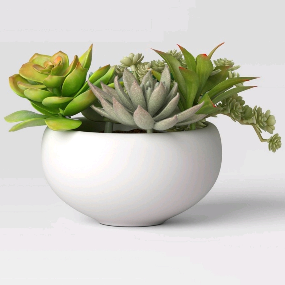 Threshold NWT 6.5" Tray Succulents Artificial Plant Ceramic Pot - Indoor/Outdoor